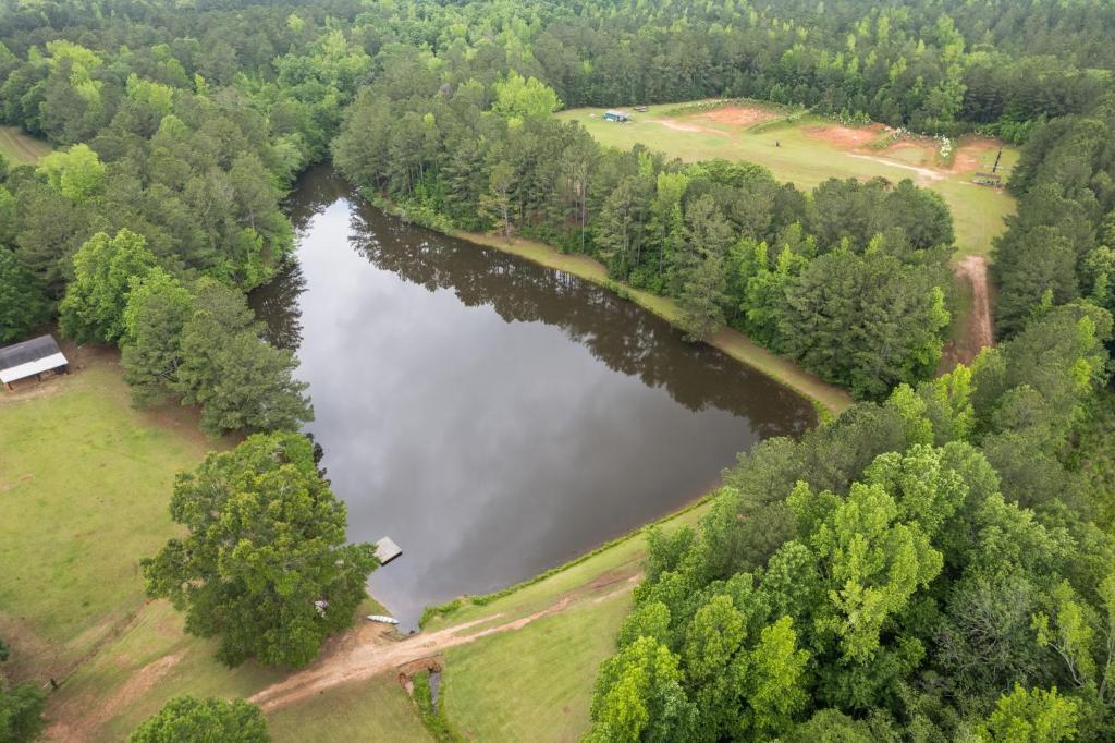 Refuge Ranch Retreat Log Cabin Lake 53+ Acres Locust Grove Extérieur photo